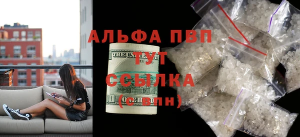 прущие грибы Арсеньев