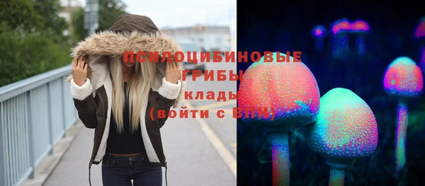 стафф Армянск