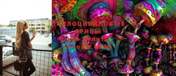 прущие грибы Арсеньев