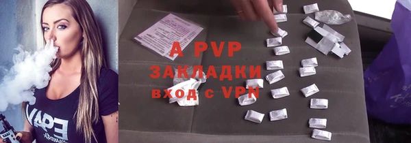 прущие грибы Арсеньев