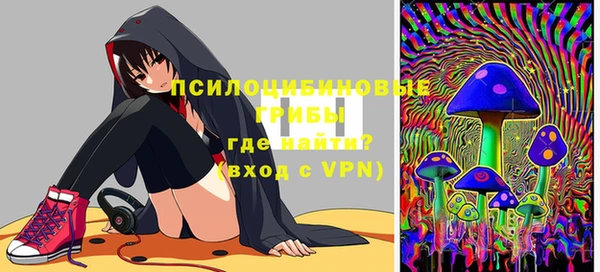 прущие грибы Арсеньев