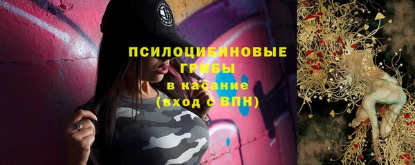 прущие грибы Арсеньев