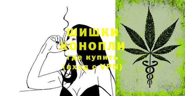 прущие грибы Арсеньев