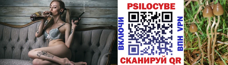 Галлюциногенные грибы мухоморы как найти закладки Холм