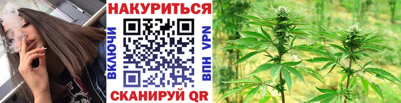 Канабис SATIVA & INDICA Холм